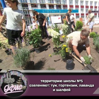 Школа №5 во Фролово: озеленение и модернизация территории