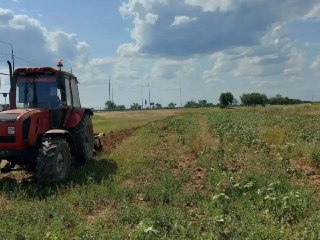 В Волжском создают защитные полосы от лесных пожаров