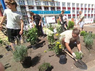 Благоустройство территории школы № 5 во Фролово: высадка растений